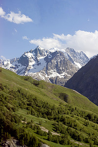 有树的大山风景