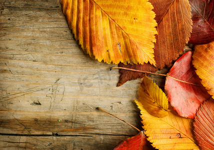 秋天的落叶在木制的背景