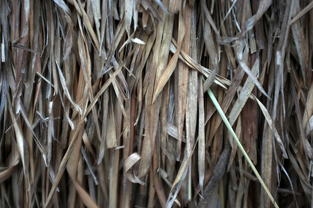 封面传统摄影照片_近景，传统干稻草茅草屋顶