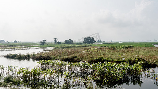 西南财大摄影照片_在西南暴雨季风降雨季节温暖潮湿的空气中，一个印度小村庄的农田郁郁葱葱的绿色地平线。