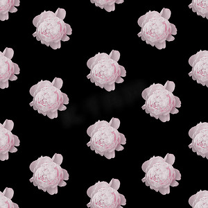 无缝时尚花纹摄影照片_无缝花纹与粉色牡丹玫瑰。