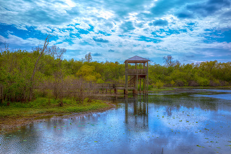 库里南摄影照片_德克萨斯州 sugarland 库里南公园的白湖