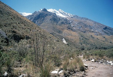 通往秘鲁科迪勒拉布兰卡阿尔帕亚莫山大本营的小径