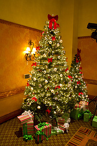 圣诞树亮摄影照片_圣诞树