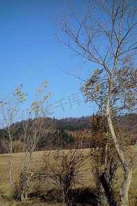 地理区域摄影照片_道路蜿蜒穿过秋天的森林 2