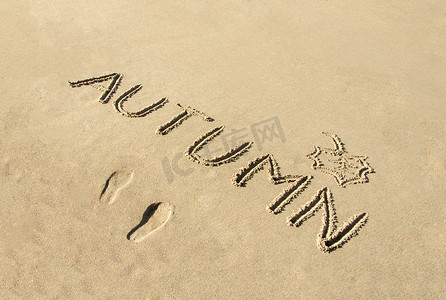 Word 秋季手写体和在沙子中绘制的叶子