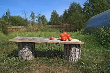 长木凳上成熟的西红柿