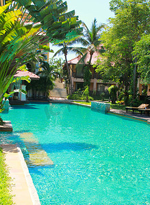 棕榈树环绕的游泳池