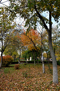 秋天的故事摄影照片_卡拉拉西城市公园的秋日气息