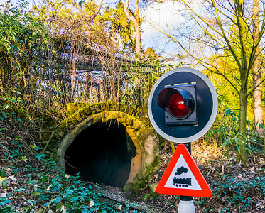 警告红绿灯的特写镜头，有警报信号的铁路隧道