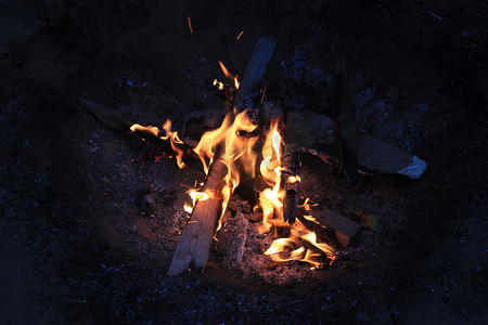 晚上森林里的篝火