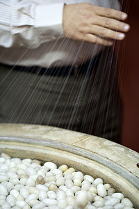 桑蚕丝花纹摄影照片_锅中煮茧，制成茧丝。