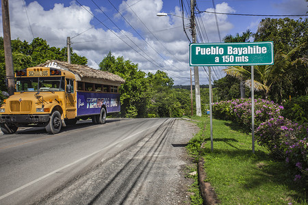 Bayahibe 城市信号与公共汽车 2