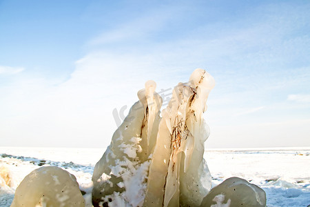 冰花摄影照片_荷兰艾瑟尔湖冬季的冰花
