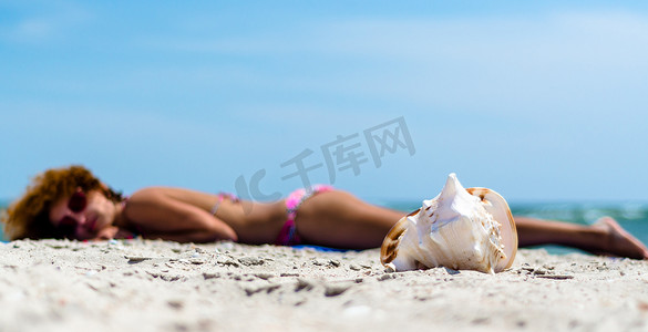 大贝壳摄影照片_单宁背景下沙滩上的大贝壳