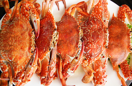 螃蟹和螃蟹篓子摄影照片_清蒸蓝梭子蟹菜。