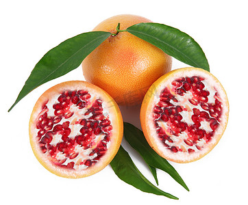 杂种水果石榴-葡萄柚