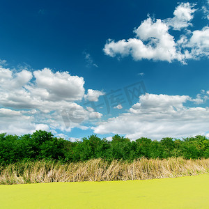 阳光明媚的日子在云层下的绿色沼泽