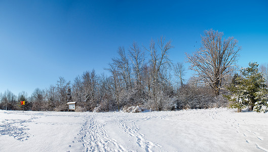 冬天的全景，积雪的公园