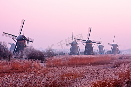 荷兰乡村的古老风车