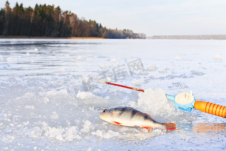 冬天钓鱼摄影照片_冬季冰上钓鱼