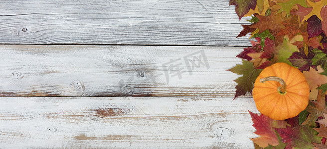 质朴的白色木板上真正的南瓜和秋叶