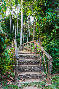 丛林中一条小溪上的石桥