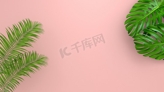 化妆品插画摄影照片_珊瑚生活背景上逼真的棕榈叶用于化妆品广告或时装插画。