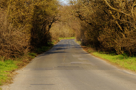 柏油路