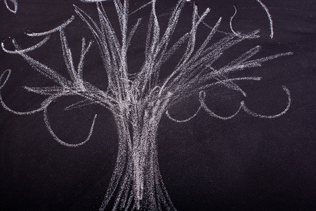 黑板上用粉笔手绘树