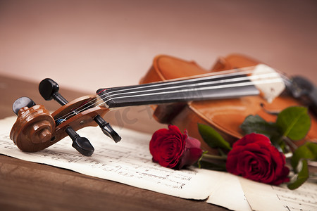红色乐谱摄影照片_美丽的玫瑰和小提琴！