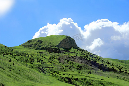 高加索绿山