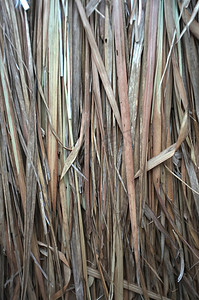 封面传统摄影照片_近景，传统干稻草茅草屋顶