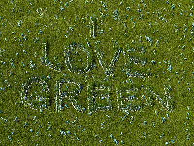 我爱草地上的绿花语