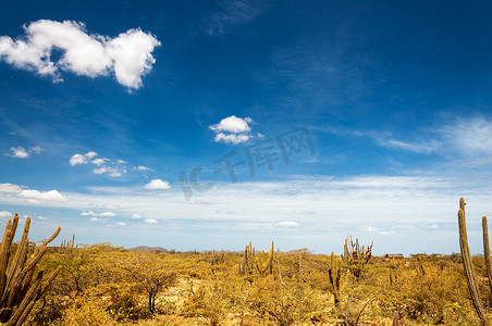 沙漠景观与深蓝的天空