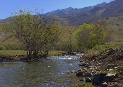 河岸摄影照片_一条山区河流的石质河岸长满了灌木。