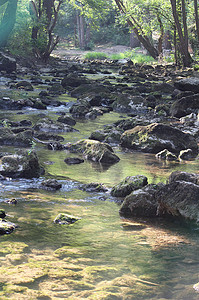 小溪场景摄影照片_山溪自然春天场景