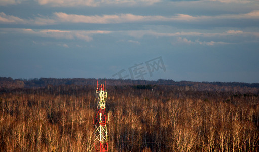 塔信号摄影照片_在暴风雨的天空背景下，树梢上方的手机信号塔。