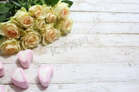 白玫瑰情人节摄影照片_白玫瑰和棉花糖