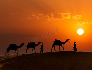 两个 cameleers（骆驼司机）与骆驼在 Thar deser 的沙丘