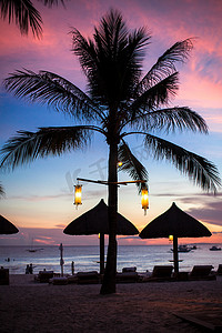 海滩上的蓝色粉色和红色日落与棕榈树剪影