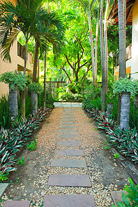 进入热带花园的石路