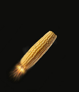 喷火火箭摄影照片_生物燃料玉米芯