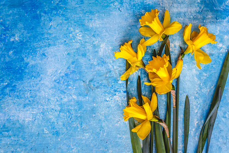 蓝色大理石背景上的黄水仙花，有一朵