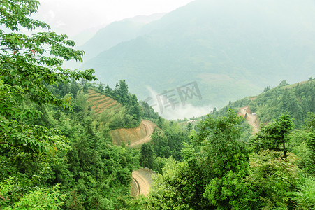 梯田和山，雾，