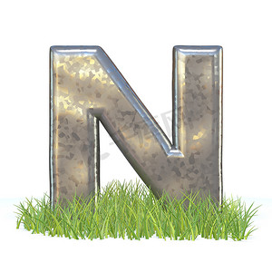 镀锌金属字体字母 N 在草 3D