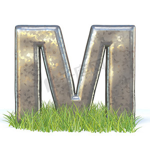 镀锌金属字体 Letter M in grass 3D