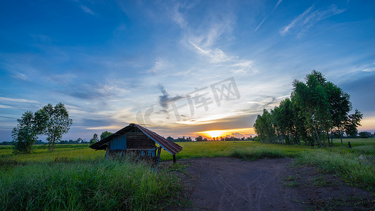 日落时绿色稻田中的小屋