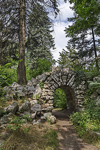 自然老西公园各种植物的旧废弃假山石拱灌木景观