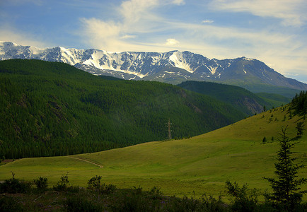 肥沃的牧场位于山谷中，靠近绿色山坡和背景中山峰的雪盖。